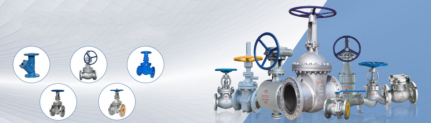 ss valves in ahmedabad
